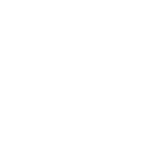 Experienced Moving Team
